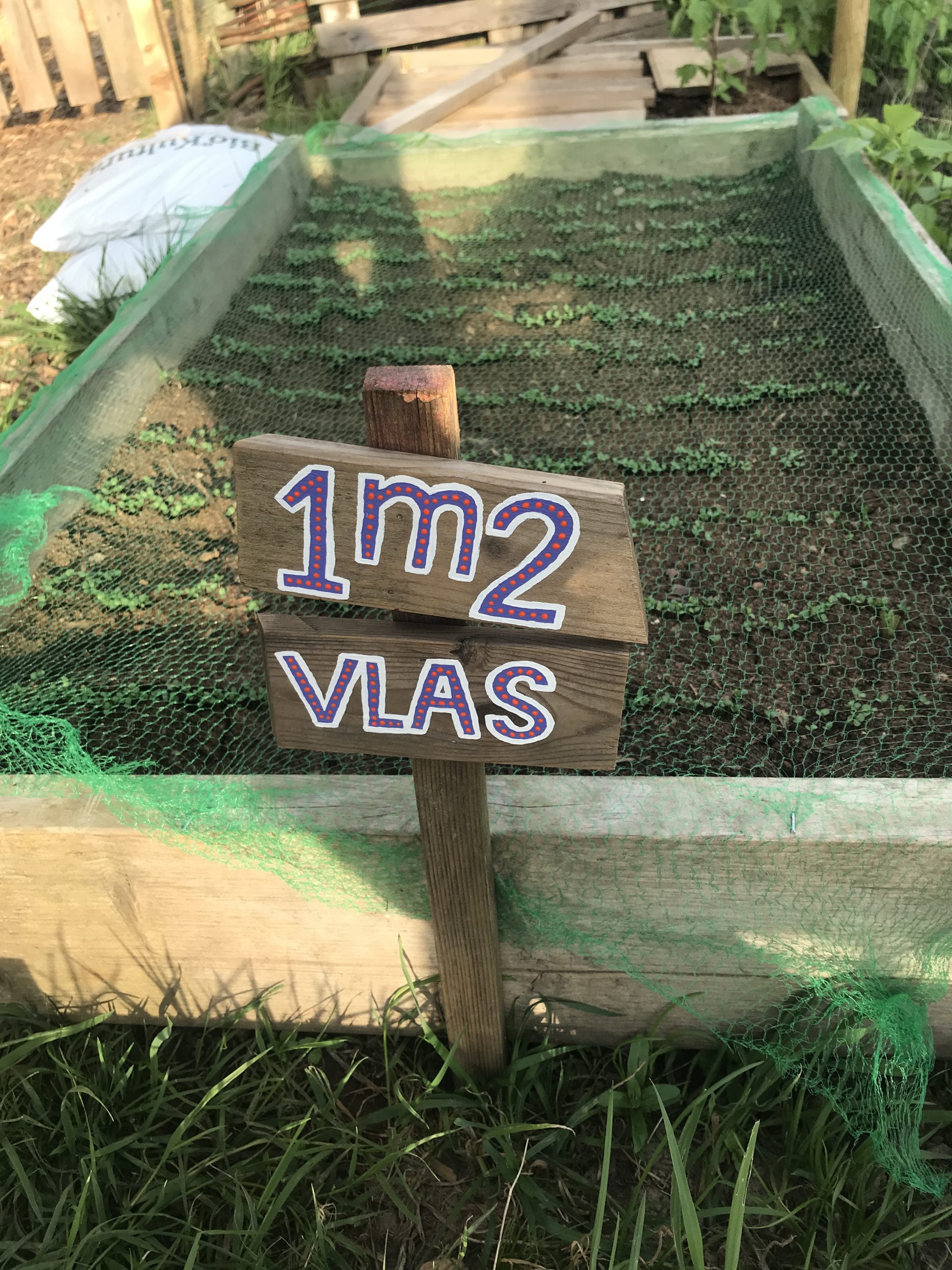 1m2 VLAS servet